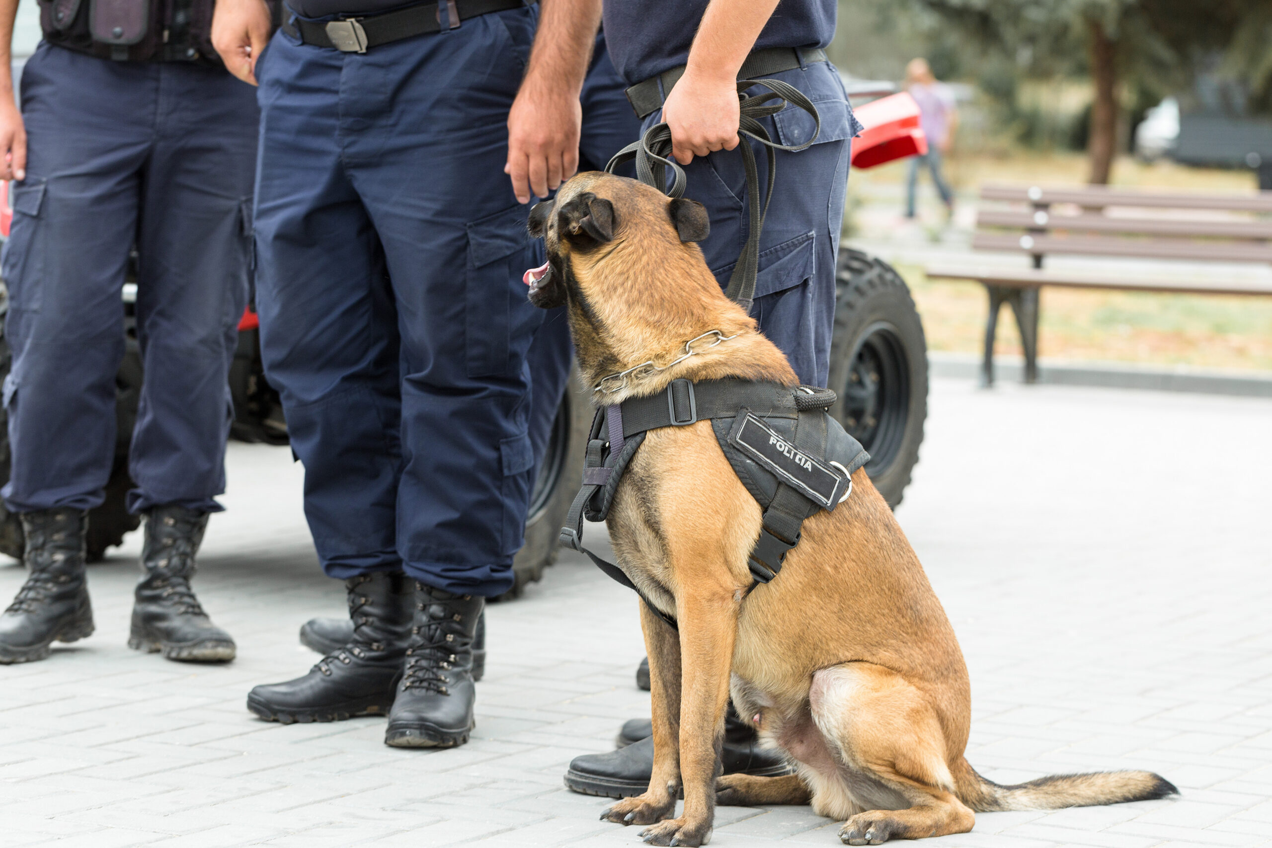 57c9f7830773ad73b45671b90a184098 (1)